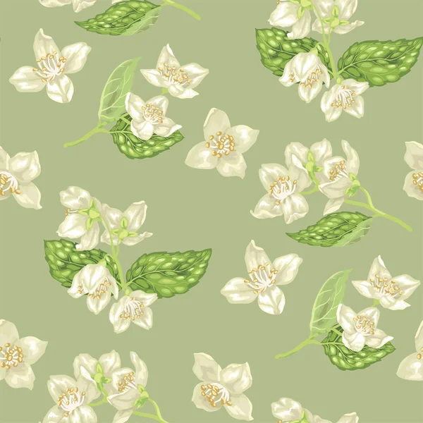 Seamless Pattern Jasmine Flowers Realistic Graphic Vector Illustration Branches Flowers — Stock Vector