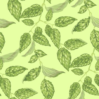 Yasemin bush ile Seamless modeli gerçekçi vektör grafik illüstrasyon bırakır