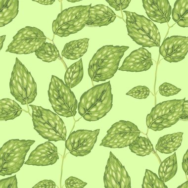 Yasemin bush ile Seamless modeli gerçekçi vektör grafik illüstrasyon bırakır