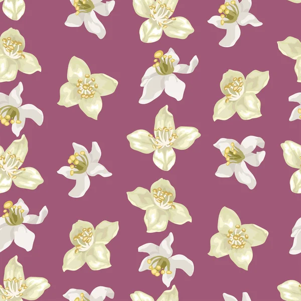 現実的なスタイルでシームレスなパターンのベクトル図にシトラスとジャスミンの花 — ストックベクタ