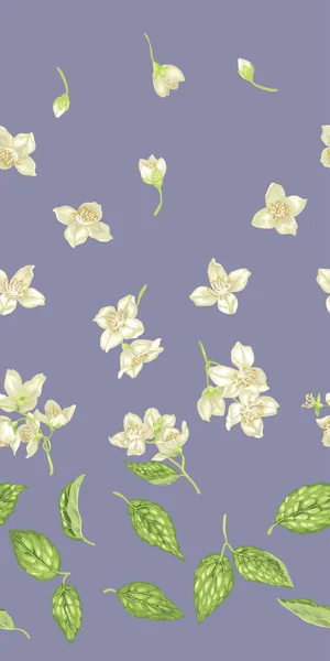 Modèle Sans Couture Avec Des Parties Plantes Jasmin Comme Les — Image vectorielle