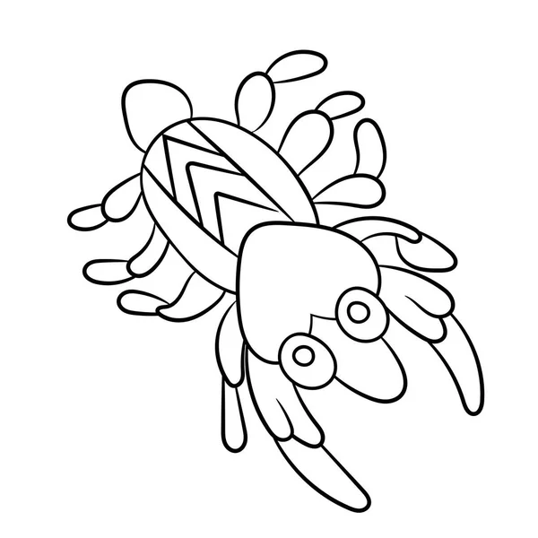 Crevettes Plancton Coloriage Pour Enfant Adulte Dans Design Réaliste Vectoriel — Image vectorielle