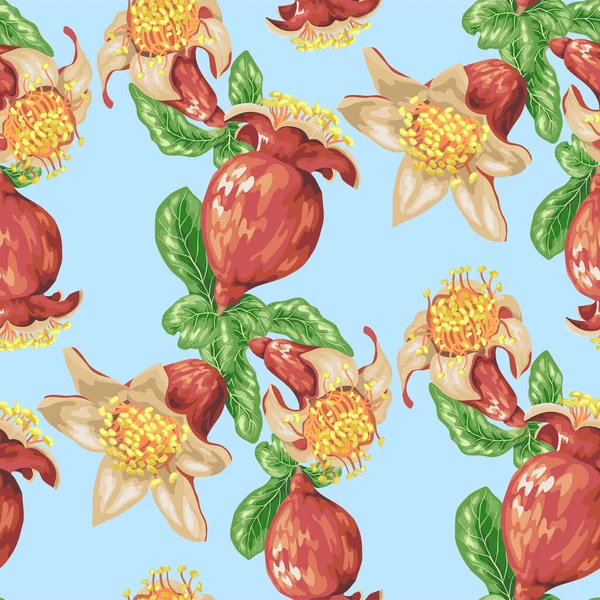 Květ Rozpuku Ovoce Stromu Granátového Jablka Bezešvé Pattern Realistické Vektorové — Stockový vektor