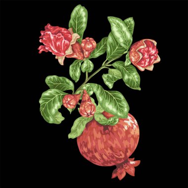 Nar meyve ağacının çiçek açan çiçekler ile şube ile vektör öğesinde dekor 