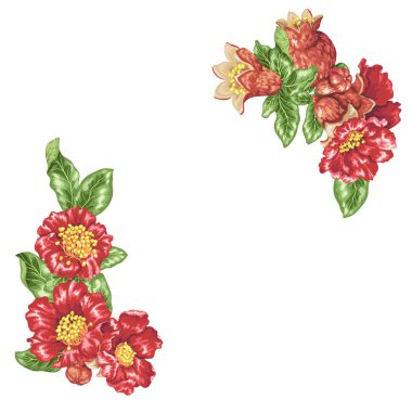 Vektör çizim şablonu nar çiçekleri açı dekor elemanları ile 