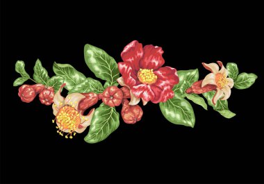 Nar meyve dalları ile yatay başlık kenarlığı için çiçek açan çiçekler ile vektör öğelerinde dekor