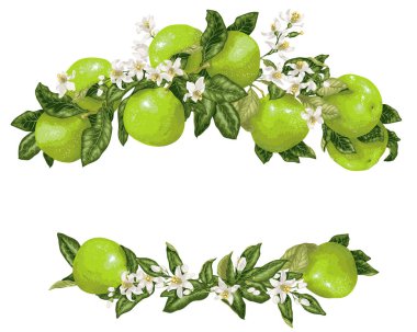 Çerçeve pomelo meyve ve çiçek vektör çizim grafik tasarım