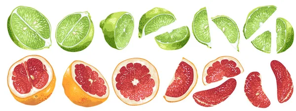 Set Met Groenten Fruit Delen Van Pompelmoes Limoen Vector Realistische — Stockvector