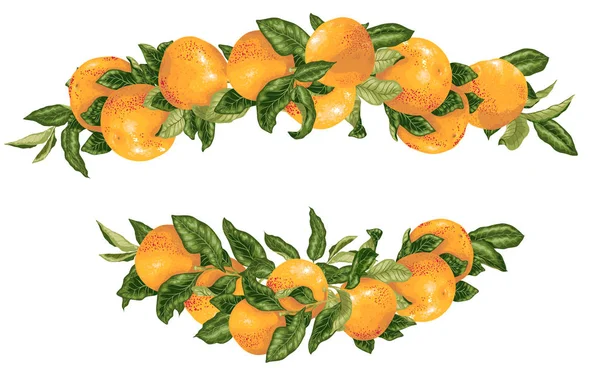 Vector Kop Decor Elementwith Grapefruit Citrus Takken Realistische Grafische Afbeelding — Stockvector