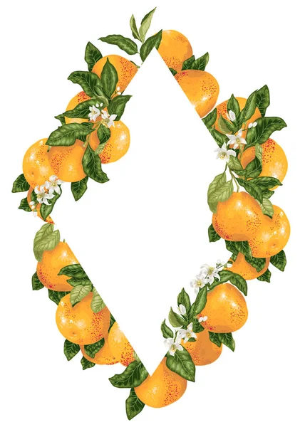 Vektorrautenrahmendekoration Mit Zitrusgrapefruit Und Pomelozweigen Grafischer Gestaltung Illustration — Stockvektor