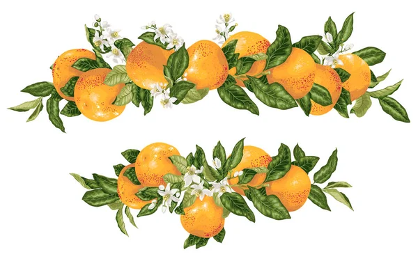 Vector Kop Decor Elementwith Grapefruit Citrus Takken Realistische Grafische Afbeelding — Stockvector