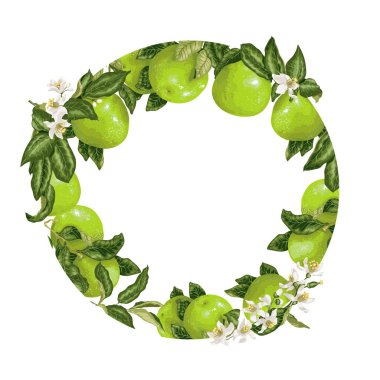 Şablon dekoratif vektör öğesi daire tasarım grafik illüstrasyon Narenciye meyve ile