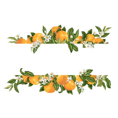 Şablon çerçeve decprative vektör öğesi Narenciye çiçek ve meyve grafik tasarlamak