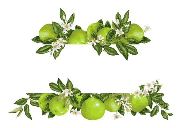 Modèle Cadre Élément Vecteur Dépratif Avec Fleurs Agrumes Fruits Illustration — Image vectorielle