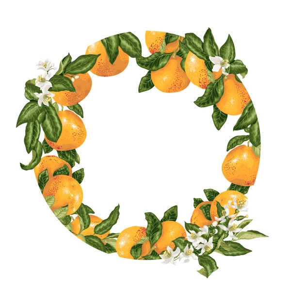Sjabloon Decoratieve Vectorelement Met Citrusvruchten Cirkel Ontwerp Grafische Afbeelding — Stockvector