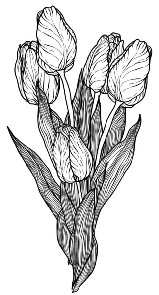 Tulip Vintage vector gráfico — Archivo Imágenes Vectoriales