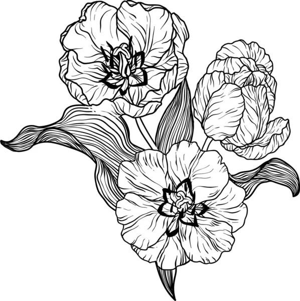 Tulpe Blume Vektor Illustration — Stockvektor