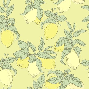 Limon grafikli kusursuz vektör deseni