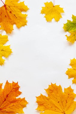 Flatlay çerçevesi olarak sarı sonbahar akçaağaç yaprakları