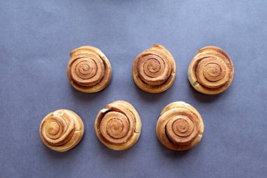 Gri zemin üzerine ev yapımı tarçınlı bisküvi