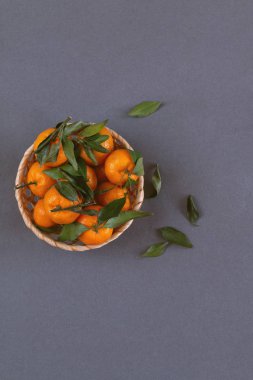 grup izole mandalina