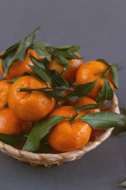 grup izole mandalina