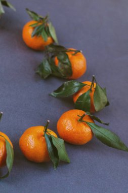 grup izole mandalina