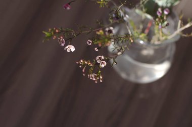 Bir buket yabani çiçek.