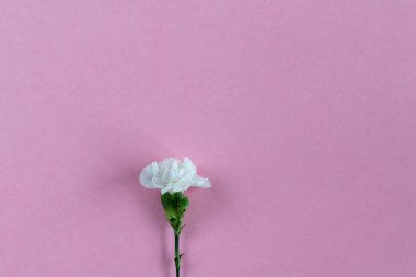 Buket karanfil Üstten Görünüm