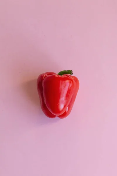 Röd Paprika Isolerad Rosa — Stockfoto