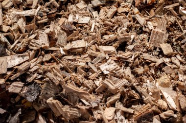 ahşap talaş desen arka plan 