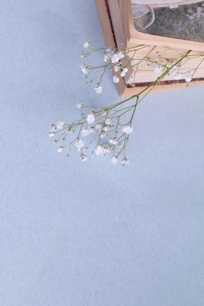 Vintage Pequeñas Flores Blancas Hermosas —  Fotos de Stock