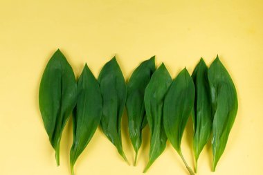 sarı arka planda izole vadinin Lilly bir buket, Doğum günü veya Sevgililer kartı için şablon