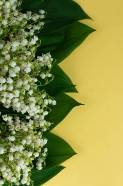 sarı arka planda izole vadinin Lilly bir buket, Doğum günü veya Sevgililer kartı için şablon