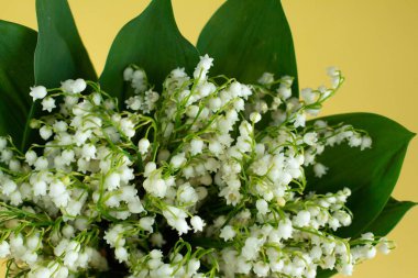 sarı arka planda izole vadinin Lilly bir buket, Doğum günü veya Sevgililer kartı için şablon