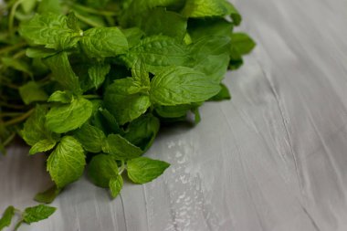 Nane gri arka plan üzerinde izole yaprakları, bitkisel çay ve Homeopati için madde