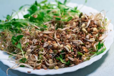Bir masada mikroyeşil ve mercimek filiz, metin için alan ile üst görünüm. Sağlık için doğal, ekolojik superfood