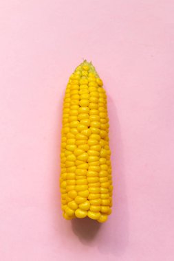 Tatlı çiğ mısır pembe arka plan üzerinde izole, metin için alan ile sağlıklı gıda resmi