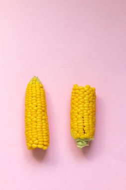 Tatlı çiğ mısır pembe arka plan üzerinde izole, metin için alan ile sağlıklı gıda resmi