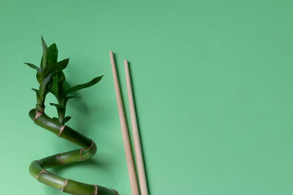 Lucky bamboo leaves isolated. With space for text