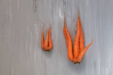 Çirkin kusurlu havuç, bir çok kök. Sıfır atık gıda konsepti. 