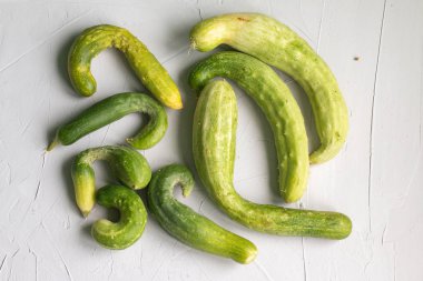 Çirkin kusurlu salatalıklar. Sıfır atık gıda konsepti. Gri arka plan, metin için alan