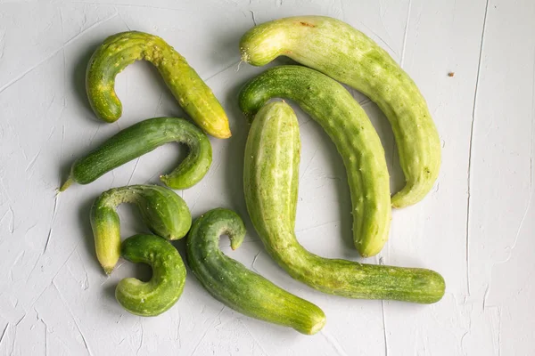 Çirkin kusurlu salatalıklar. Sıfır atık gıda konsepti. Gri arka plan, metin için alan