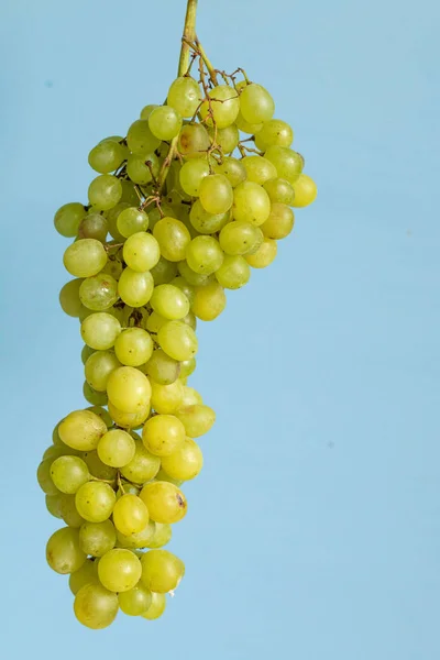 Green Fresh Sweet Grape Bunch Flying Air Healthy Food Concept — Stock Photo, Image