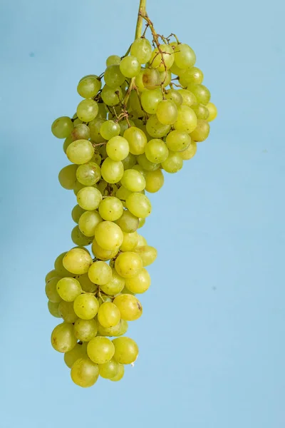 緑の新鮮な甘いブドウの束は テキストのためのスペースと健康的な食品の概念を飛んでいる — ストック写真