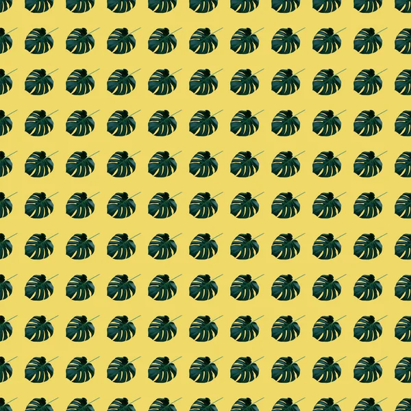 Digitální Bezešvé Vzor Tropických Listí Monstera Žlutém Pozadí Opakující Prvky — Stock fotografie
