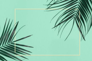 Metin ve nane yeşili arkaplan, kartpostal veya poster şablonu için alanı olan renkli çerçeveli palmiye yaprakları konsepti