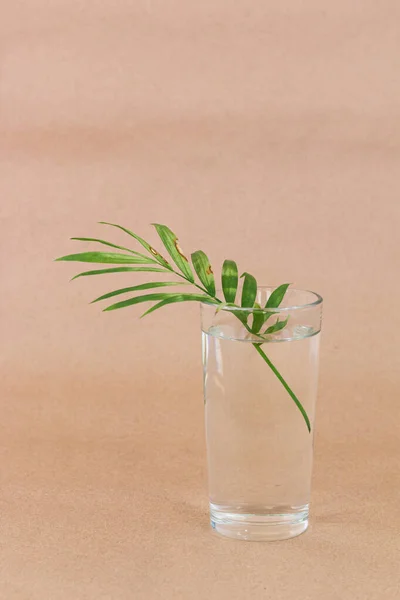 Palmblad Ett Glas Mot Beige Bakgrund Med Tomt Utrymme För — Stockfoto
