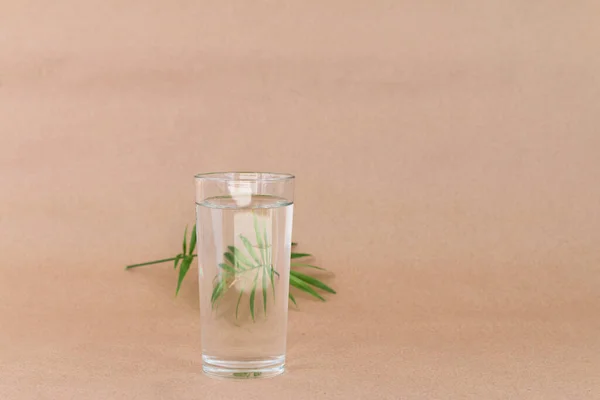 art picture of palm leaf behind water glass, creative reflections beige background