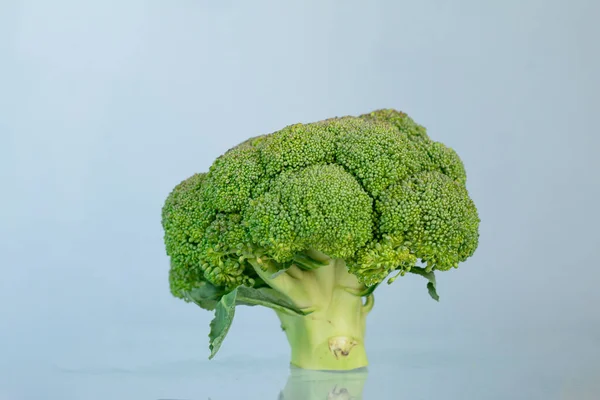 Brokkoli Növény Izolált Világoskék Háttér — Stock Fotó
